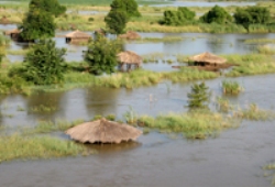 Widespread flooding along the Zambezi River