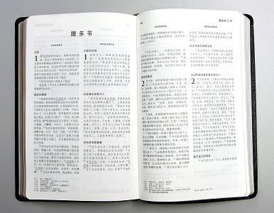 New Chinese Standard Bible New Testament