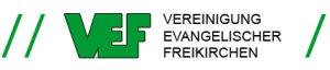 © Logo: VEF