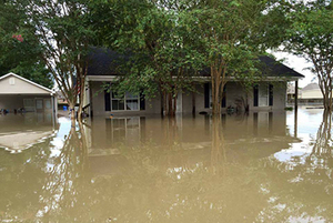 Eines von rund 40.000 überfluteten Häusern in Louisiana