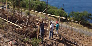 Dominica: ADRA-Freiwillige bauen Häuser für Familien, deren Heime bei Tropensturm zerstört worden sind