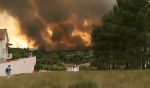 Waldbrände in Portugal (18. Juni 2017)