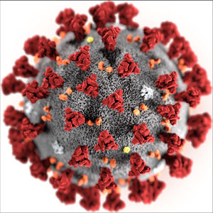 3D-Grafik des SARS-CoV2-Virions