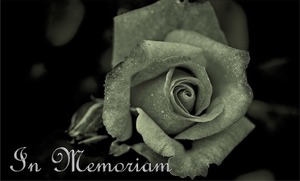 Symbolbild – Gedenken und Trauer 