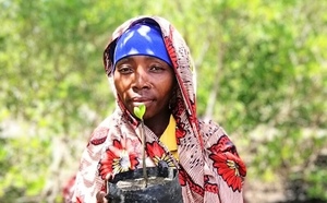 Eine Frau hält einen Mangroven-Setzling in der Hand.