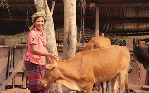 Bäuerin in Laos.