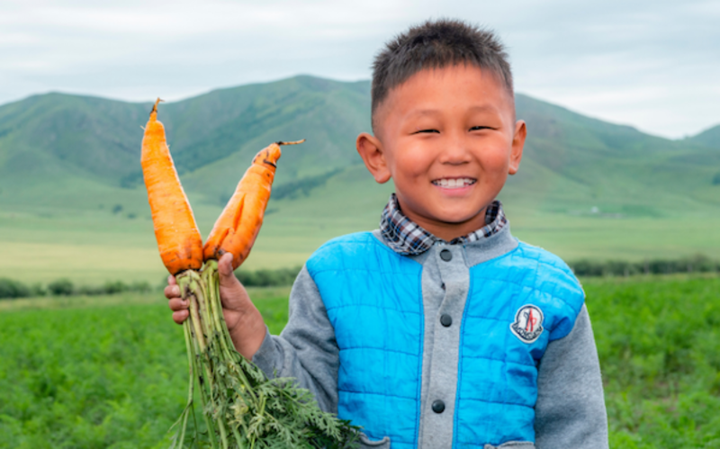 Mongolei: Bio-Landwirtschaft als Schlüssel zum Erfolg 