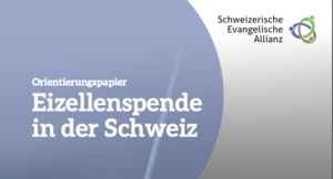 Ausschnitt vom Cover des SEA-Orientierungspapiers zur Eizellenspende.