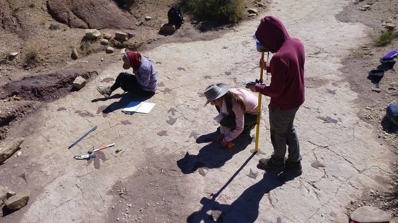 Adventistische Wissenschaftler leiten bahnbrechende Studie über die weltweit grösste Dinosaurier-Fussabdruckfundstätte