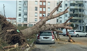 Der Orkan Kristin liess in Portugal nicht nur Bäume umstürzen sondern zerstörte auch zahlreiche Gebäude. 